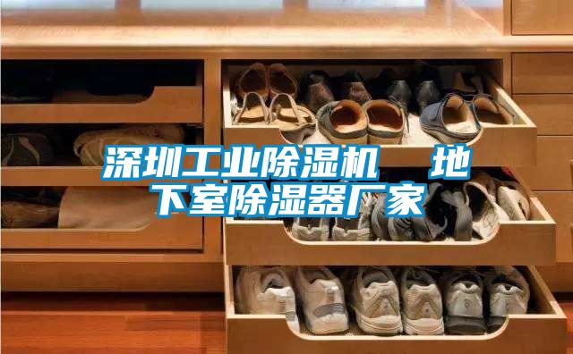 深圳工業(yè)除濕機  地下室除濕器廠家