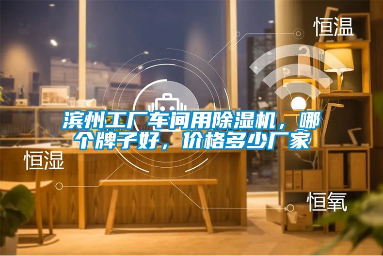 濱州工廠車間用除濕機，哪個牌子好，價格多少廠家