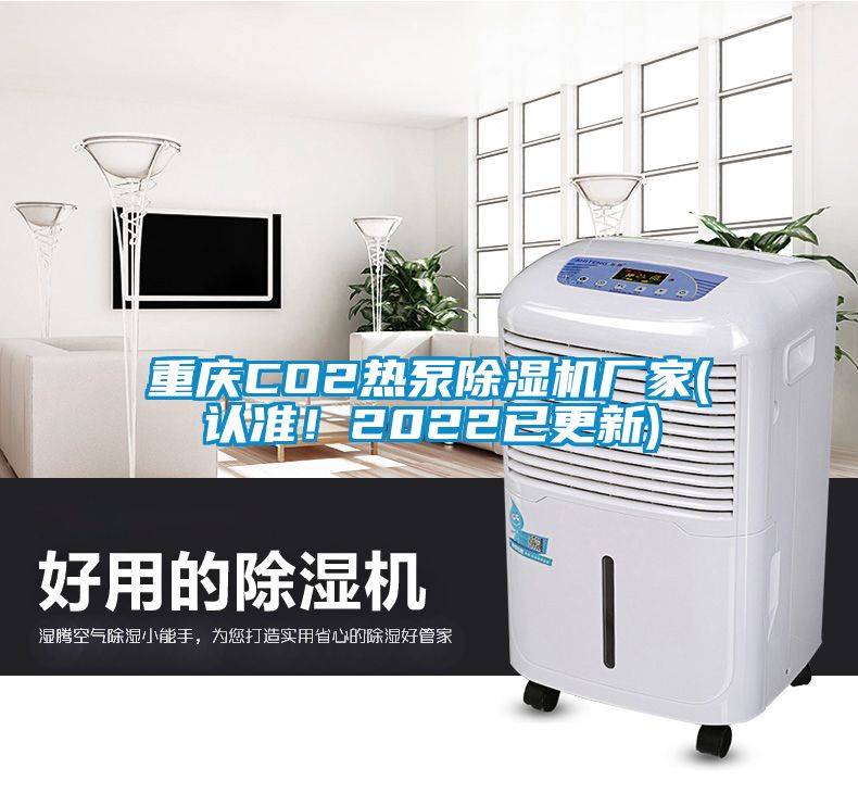 重慶CO2熱泵除濕機(jī)廠家(認(rèn)準(zhǔn)！2022已更新)