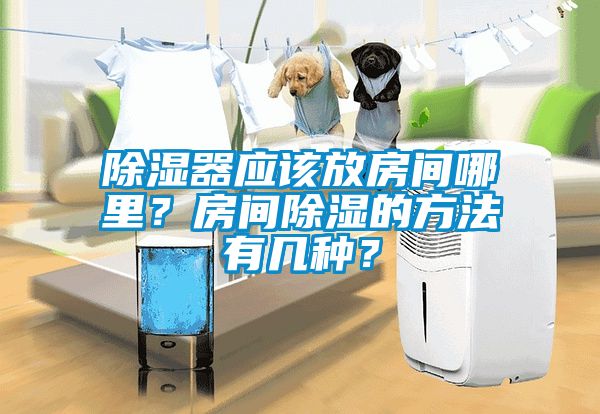 除濕器應(yīng)該放房間哪里？房間除濕的方法有幾種？