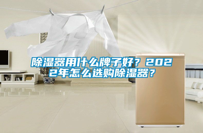 除濕器用什么牌子好？2022年怎么選購除濕器？