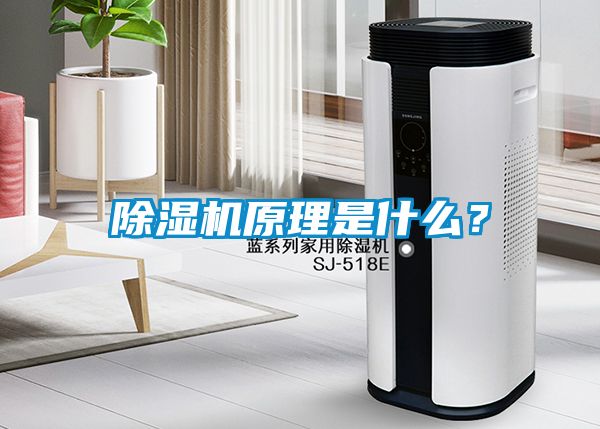 除濕機(jī)原理是什么？