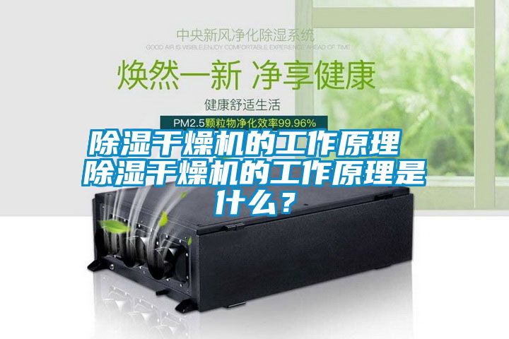 除濕干燥機(jī)的工作原理 除濕干燥機(jī)的工作原理是什么？