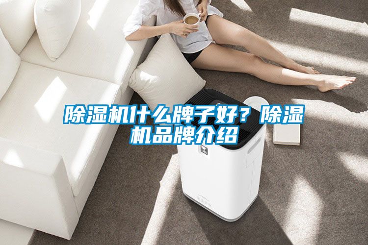 除濕機(jī)什么牌子好？除濕機(jī)品牌介紹