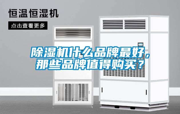 除濕機什么品牌最好，那些品牌值得購買？