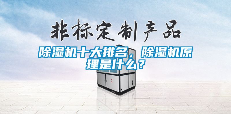 除濕機(jī)十大排名，除濕機(jī)原理是什么？