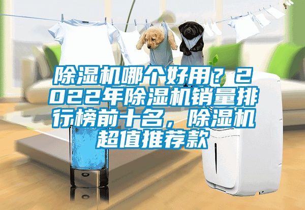 除濕機哪個好用？2022年除濕機銷量排行榜前十名，除濕機超值推薦款