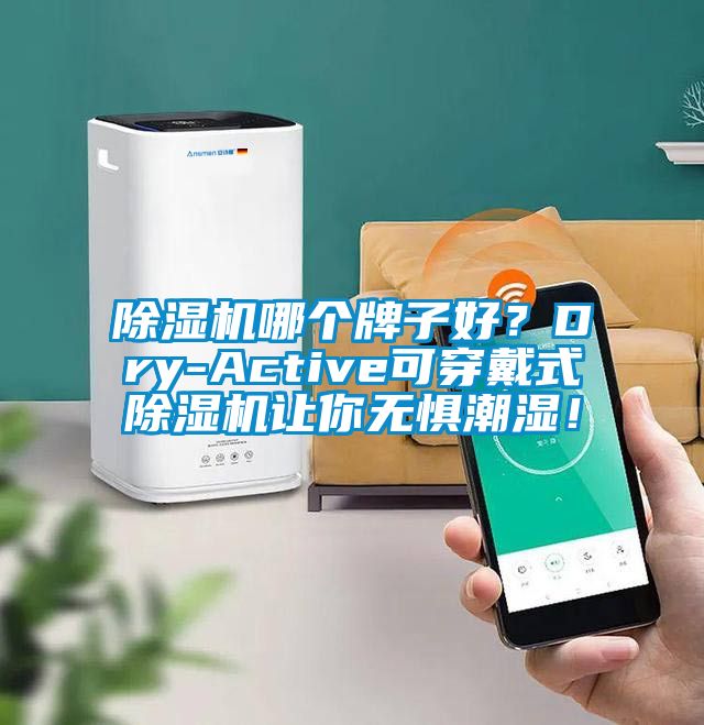 除濕機哪個牌子好？Dry-Active可穿戴式除濕機讓你無懼潮濕！