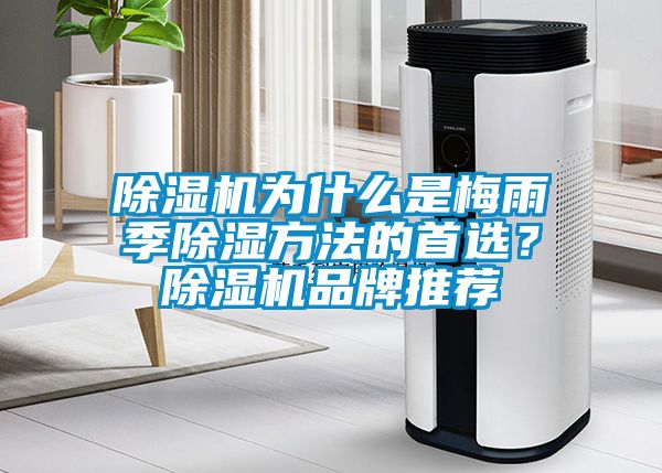 除濕機(jī)為什么是梅雨季除濕方法的首選？除濕機(jī)品牌推薦