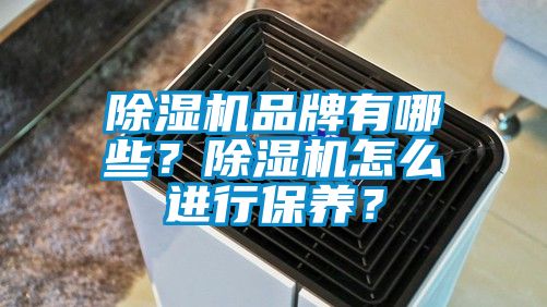 除濕機品牌有哪些？除濕機怎么進行保養(yǎng)？