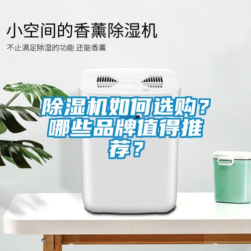 除濕機如何選購？哪些品牌值得推薦？