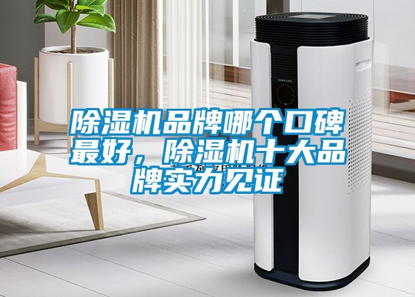 除濕機品牌哪個口碑最好，除濕機十大品牌實力見證