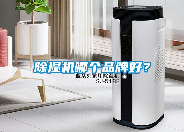 除濕機哪個品牌好？