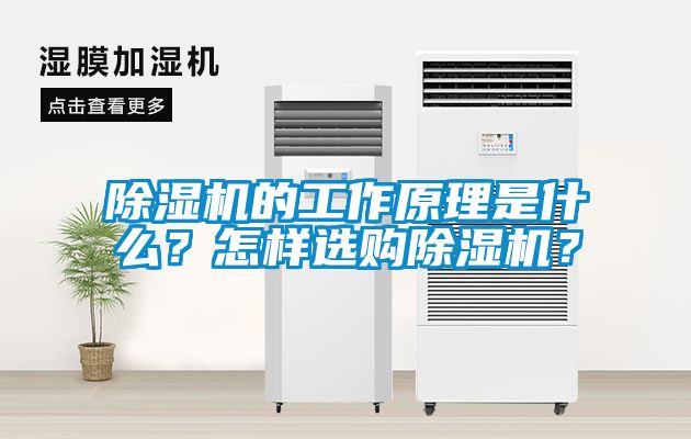 除濕機(jī)的工作原理是什么？怎樣選購(gòu)除濕機(jī)？