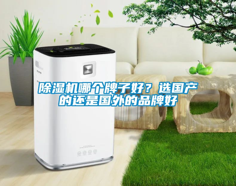 除濕機(jī)哪個(gè)牌子好？選國產(chǎn)的還是國外的品牌好