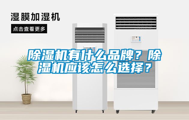 除濕機(jī)有什么品牌？除濕機(jī)應(yīng)該怎么選擇？