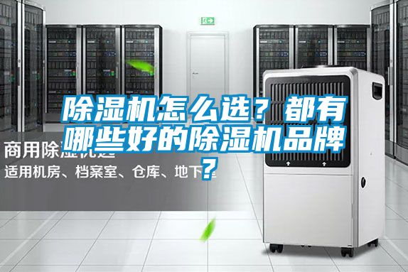 除濕機怎么選？都有哪些好的除濕機品牌？