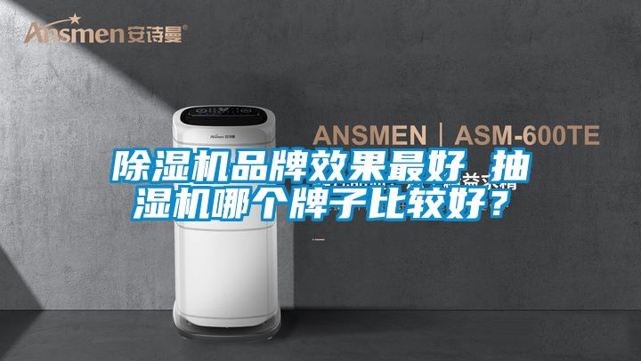 除濕機品牌效果最好 抽濕機哪個牌子比較好？