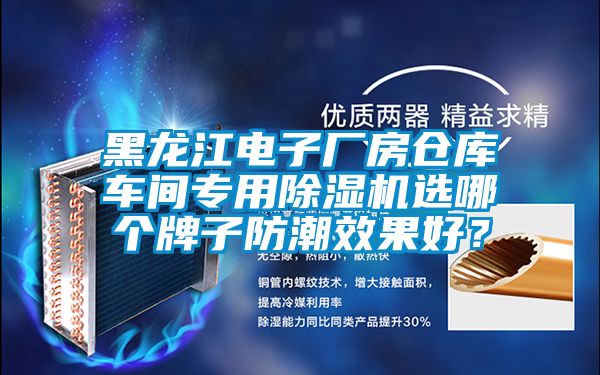 黑龍江電子廠房倉庫車間專用除濕機選哪個牌子防潮效果好？