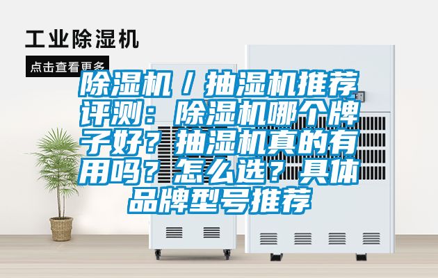 除濕機／抽濕機推薦評測：除濕機哪個牌子好？抽濕機真的有用嗎？怎么選？具體品牌型號推薦