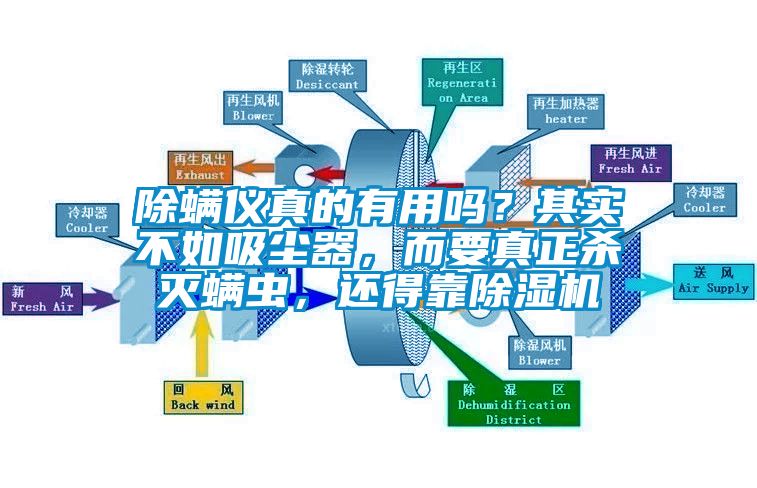 除螨儀真的有用嗎？其實(shí)不如吸塵器，而要真正殺滅螨蟲(chóng)，還得靠除濕機(jī)